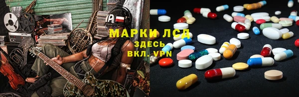 винт Алзамай