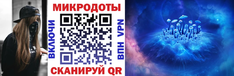 Псилоцибиновые грибы мицелий купить наркоту Бокситогорск